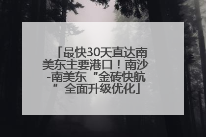 最快30天直达南美东主要港口！南沙-南美东“金砖快航”全面升级优化