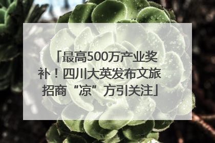 最高500万产业奖补！四川大英发布文旅招商“凉”方引关注