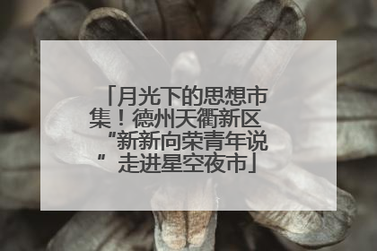 月光下的思想市集！德州天衢新区“新新向荣青年说”走进星空夜市