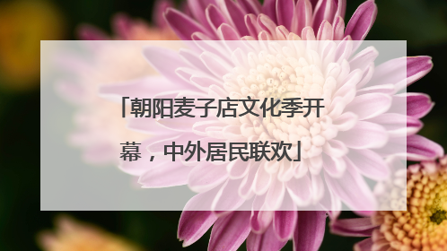 朝阳麦子店文化季开幕，中外居民联欢