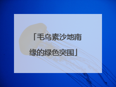 毛乌素沙地南缘的绿色突围