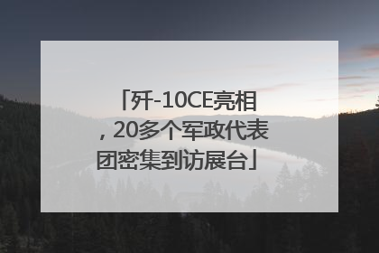 歼-10CE亮相，20多个军政代表团密集到访展台