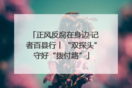 正风反腐在身边·记者百县行丨“双探头”守好“拨付路”
