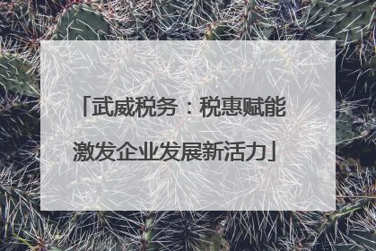 武威税务：税惠赋能 激发企业发展新活力