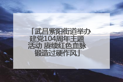 武昌紫阳街道举办建党104周年主题活动 赓续红色血脉锻造过硬作风