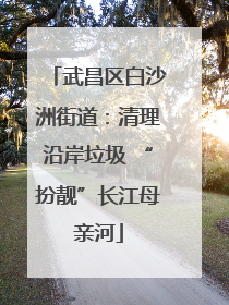 武昌区白沙洲街道：清理沿岸垃圾 “扮靓”长江母亲河