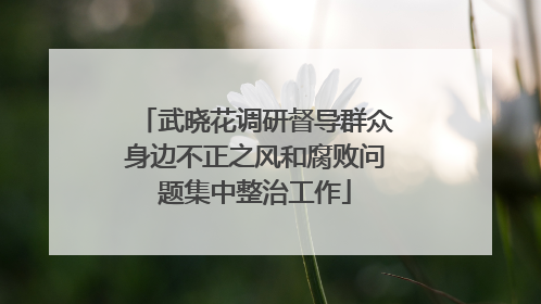武晓花调研督导群众身边不正之风和腐败问题集中整治工作