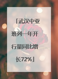 武汉中亚班列一年开行量同比增长72%