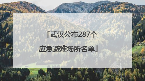 武汉公布287个应急避难场所名单