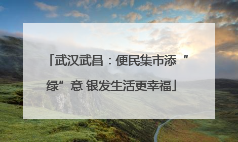 武汉武昌：便民集市添“绿”意 银发生活更幸福