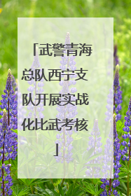 武警青海总队西宁支队开展实战化比武考核