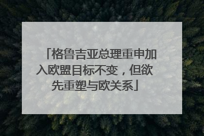 格鲁吉亚总理重申加入欧盟目标不变，但欲先重塑与欧关系