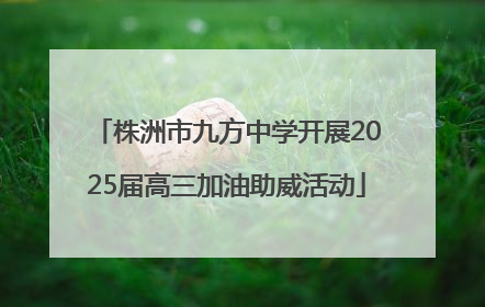 株洲市九方中学开展2025届高三加油助威活动