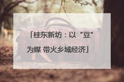 桂东新坊：以“豆”为媒 带火乡域经济