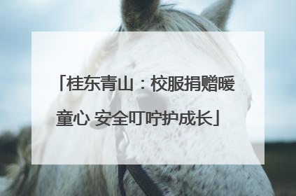桂东青山：校服捐赠暖童心 安全叮咛护成长