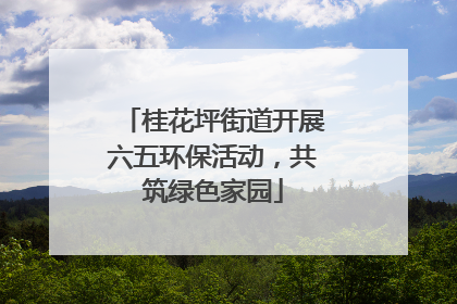 桂花坪街道开展六五环保活动，共筑绿色家园