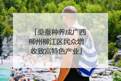 桑蚕种养成广西柳州柳江区民众增收致富特色产业