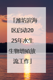 潍坊滨海区启动2025年水生生物增殖放流工作