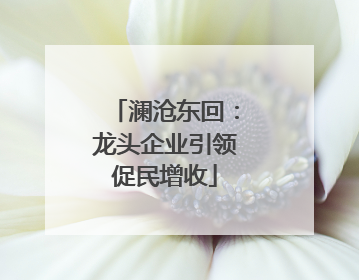 澜沧东回：龙头企业引领促民增收