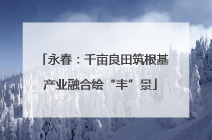 永春：千亩良田筑根基 产业融合绘“丰”景