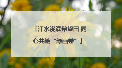 汗水浇灌希望田 同心共绘“绿画卷”