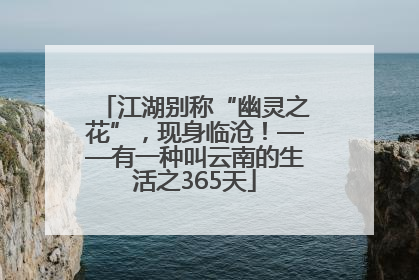 江湖别称“幽灵之花”，现身临沧！——有一种叫云南的生活之365天