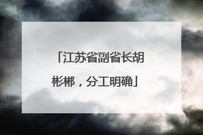 江苏省副省长胡彬郴，分工明确