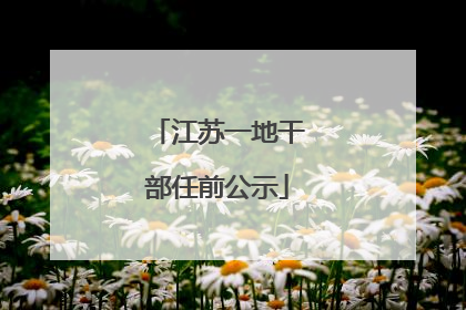 江苏一地干部任前公示