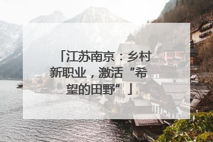 江苏南京：乡村新职业，激活“希望的田野”