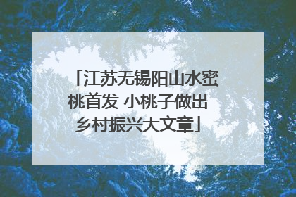 江苏无锡阳山水蜜桃首发 小桃子做出乡村振兴大文章