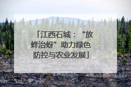 江西石城：“放蜂治蚜”助力绿色防控与农业发展