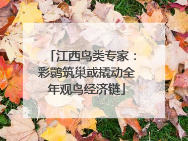 江西鸟类专家：彩鹮筑巢或撬动全年观鸟经济链