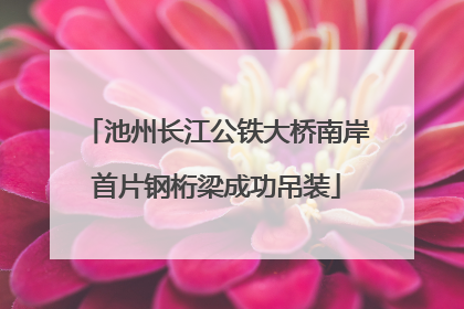 池州长江公铁大桥南岸首片钢桁梁成功吊装