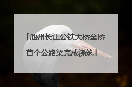 池州长江公铁大桥全桥首个公路梁完成浇筑
