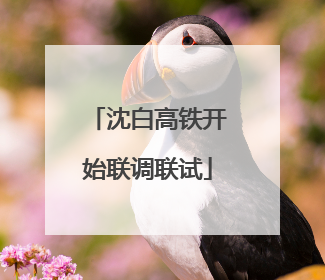 沈白高铁开始联调联试