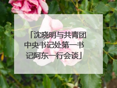 沈晓明与共青团中央书记处第一书记阿东一行会谈