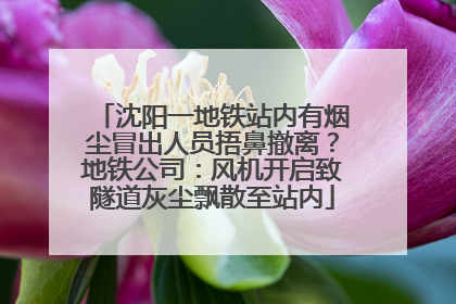 沈阳一地铁站内有烟尘冒出人员捂鼻撤离？地铁公司：风机开启致隧道灰尘飘散至站内