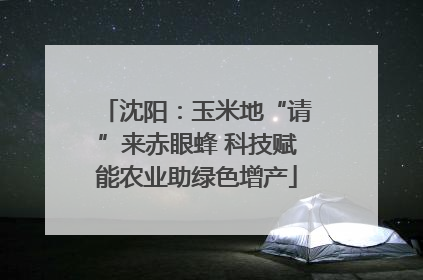 沈阳：玉米地“请”来赤眼蜂 科技赋能农业助绿色增产