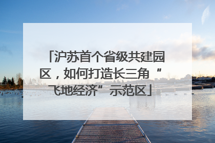 沪苏首个省级共建园区，如何打造长三角“飞地经济”示范区