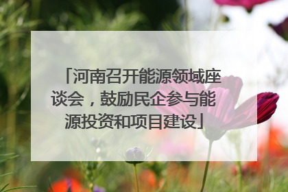 河南召开能源领域座谈会，鼓励民企参与能源投资和项目建设