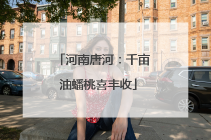 河南唐河：千亩油蟠桃喜丰收