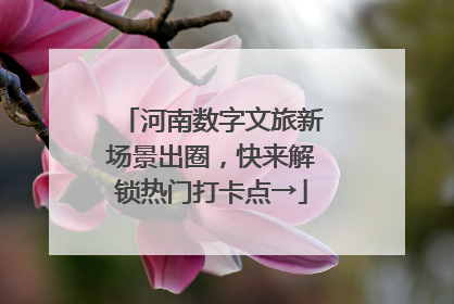 河南数字文旅新场景出圈，快来解锁热门打卡点→