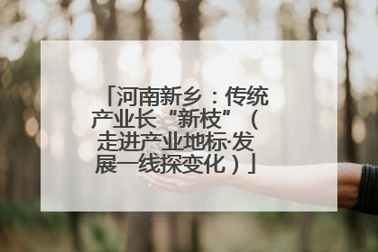 河南新乡：传统产业长“新枝”（走进产业地标·发展一线探变化）