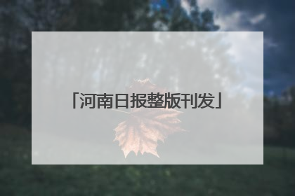 河南日报整版刊发