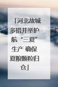 河北故城多措并举护航“三夏”生产 确保夏粮颗粒归仓