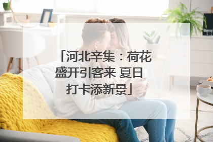 河北辛集：荷花盛开引客来 夏日打卡添新景