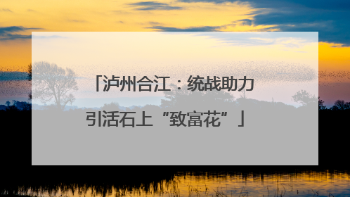 泸州合江：统战助力引活石上“致富花”
