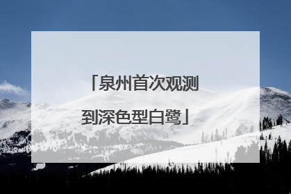 泉州首次观测到深色型白鹭