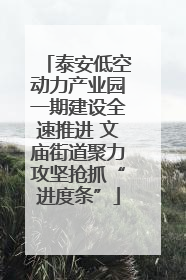 泰安低空动力产业园一期建设全速推进 文庙街道聚力攻坚抢抓“进度条”