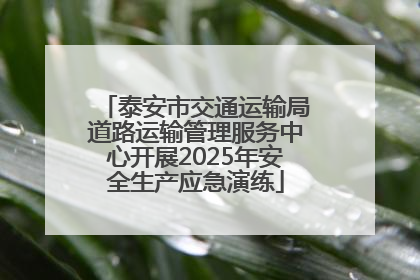 泰安市交通运输局道路运输管理服务中心开展2025年安全生产应急演练